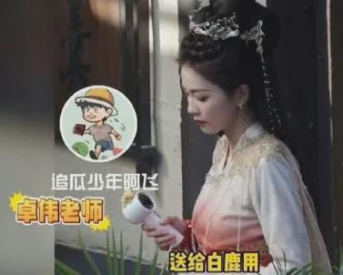 狗仔爆料白鹿最新,狗仔爆料揭秘明星私生活  第3张