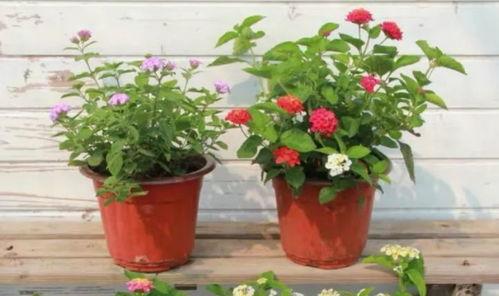 民营医院爆料案例最新视频,真相令人震惊！  第3张